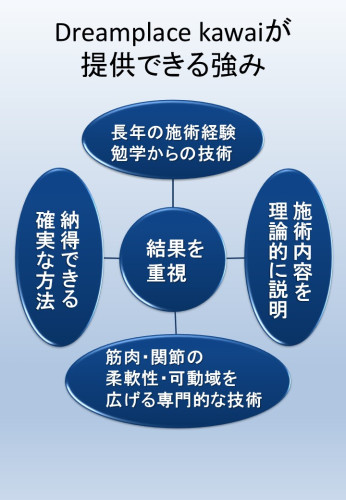 Dreamplace kawaiの提供できる強み.jpg