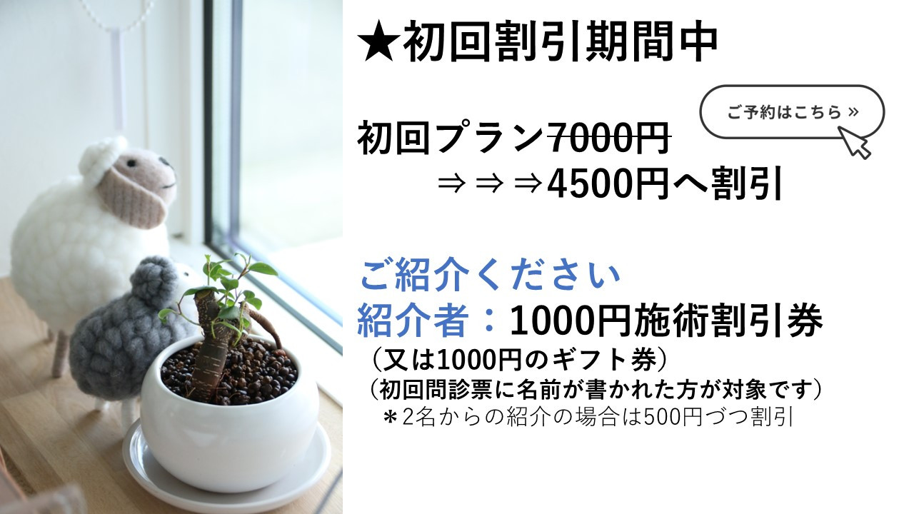 初回割引期間中です。
