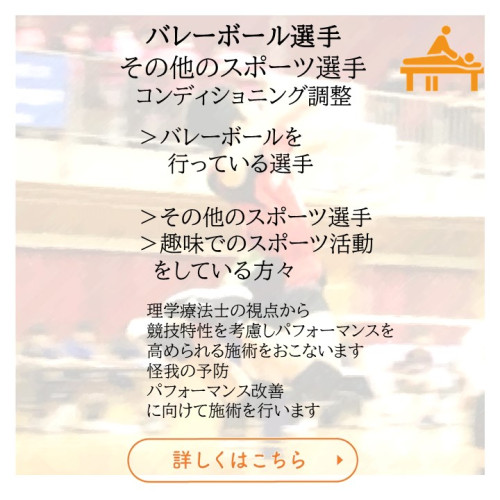 バレーボール・スポーツ専門.jpg