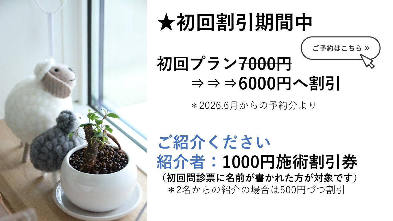 初回割引期間中です。