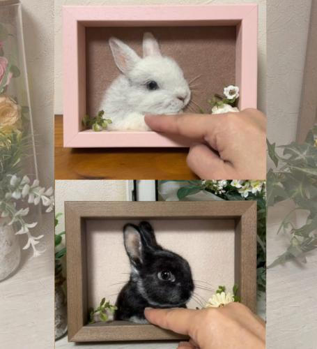 無題1238_20250513120058.PNG
