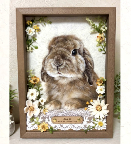 ♡ぶぶ太ちゃん♡