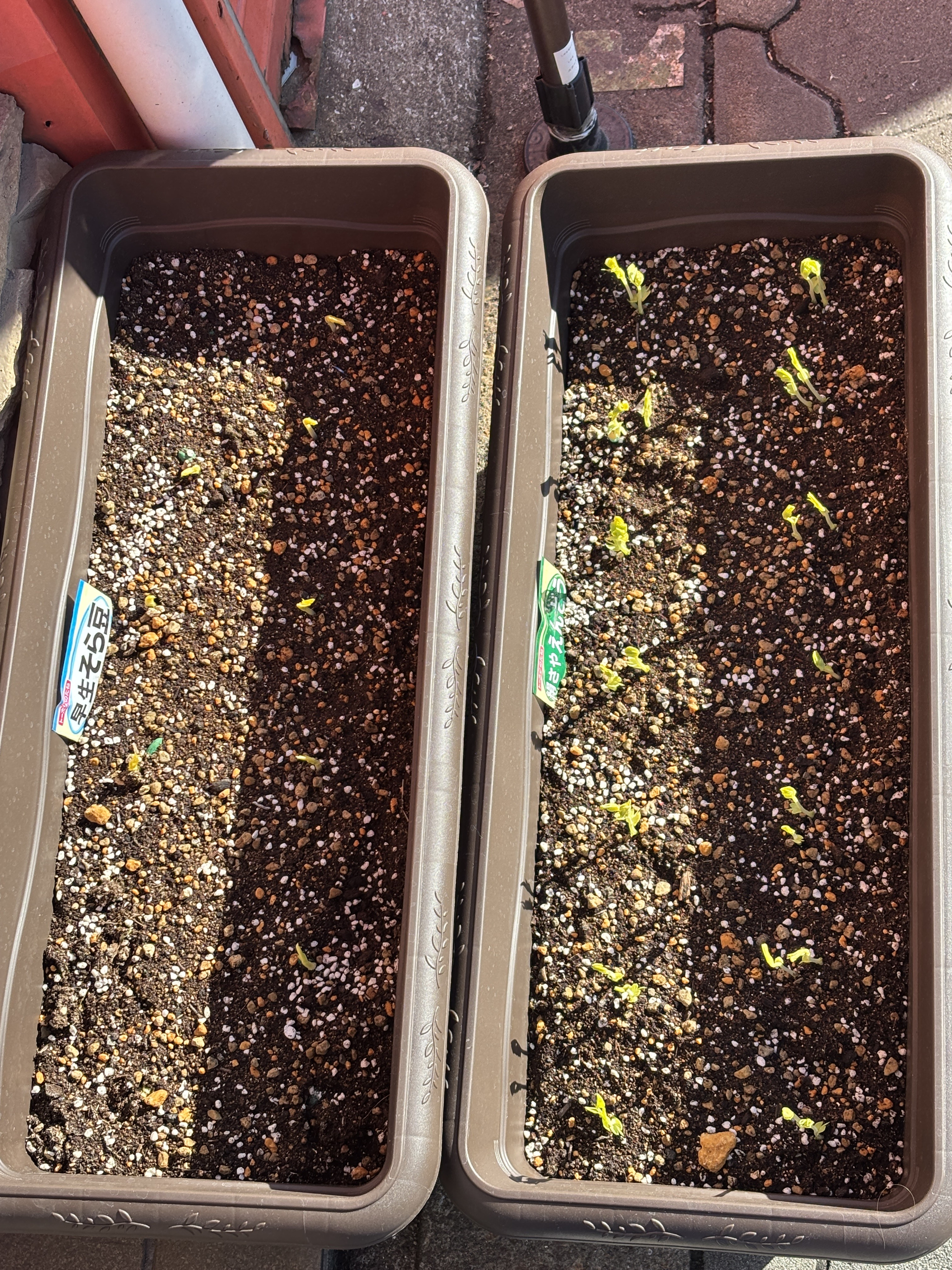 2025/12/23　タンプラー