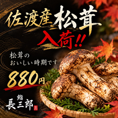 松茸入荷.jpg