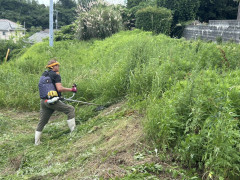 草刈り作業
