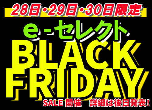 print_page-0001 (4).jpg