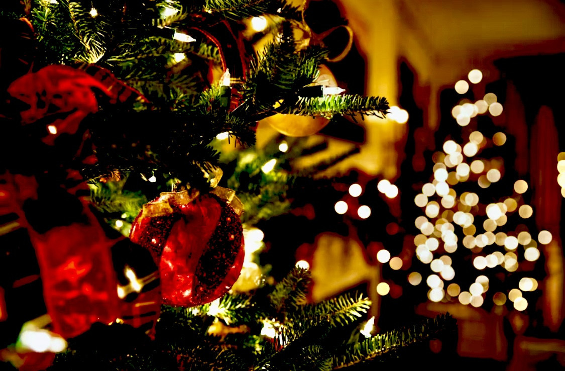 🎄marunaca.com🌟