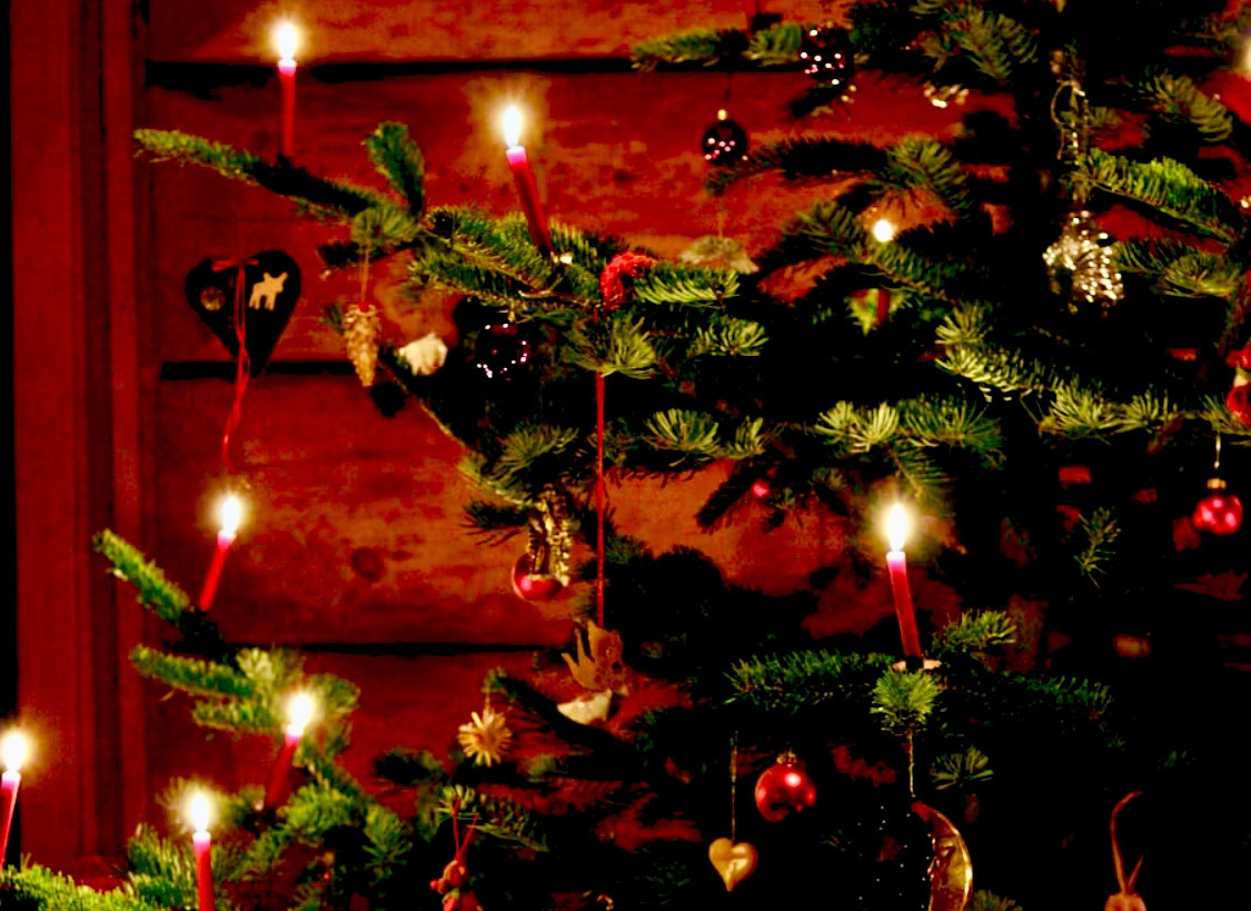 🌟marunaca.com🎄