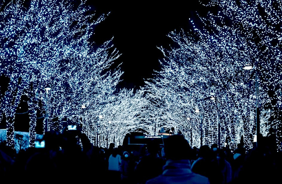 　　　🕯️marunaca.com🎄✨