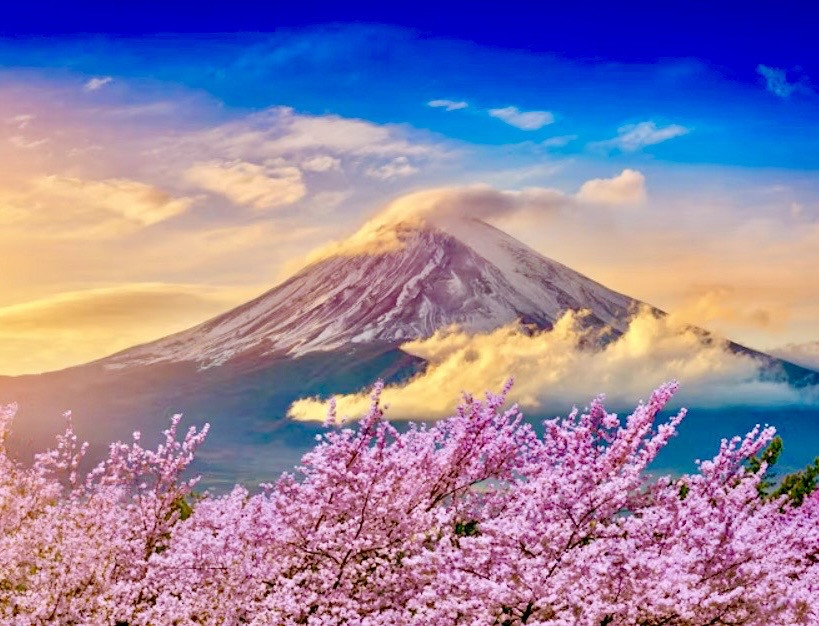 🎍marunaca.com🌅✨