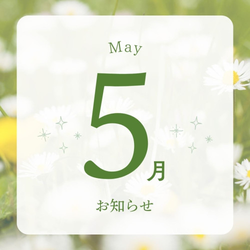 🌸5月限定キャンペーン🌸