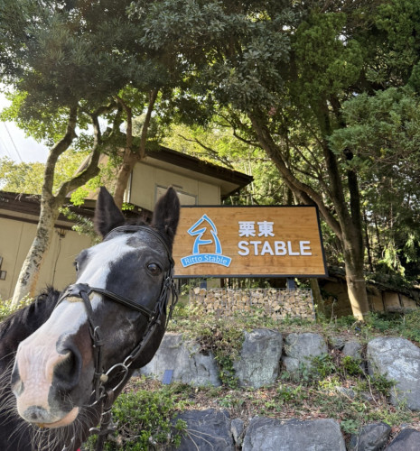 S__30113884.jpg