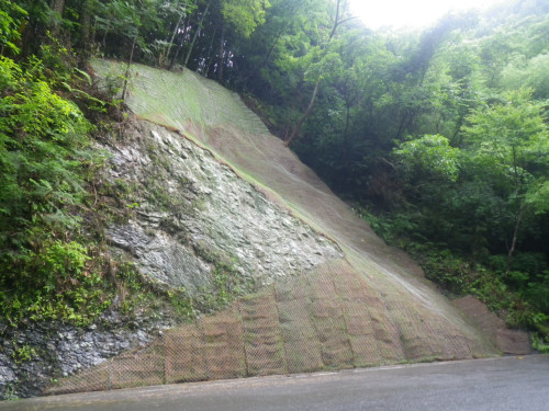 RIMG0111.JPG