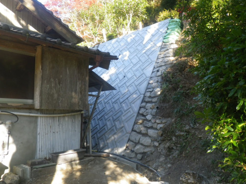 RIMG0036.JPG