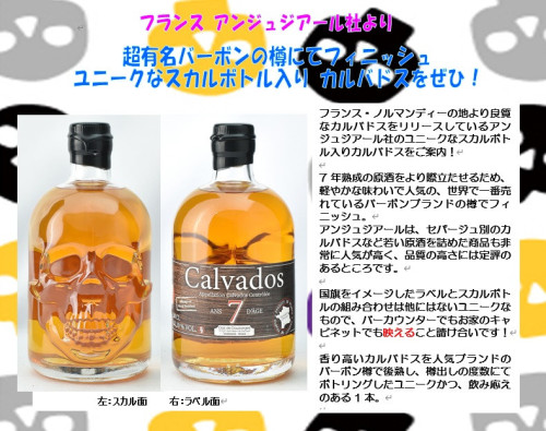カルバドス 7年 バーボンFIN スカルボトル.jpg