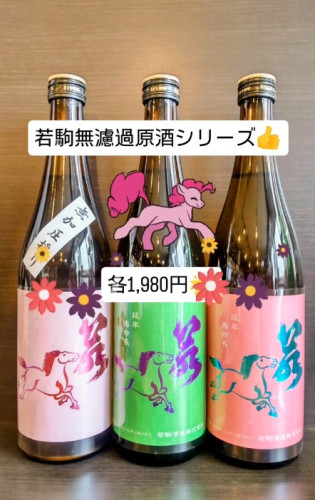 若駒.jpg