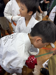 IMG_7935.jpeg