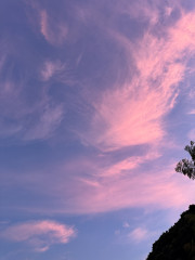IMG_9790.jpeg
