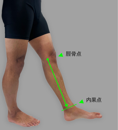 スネ長