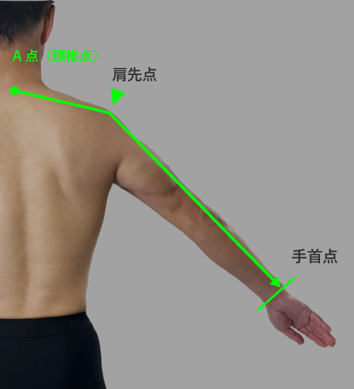 裄丈