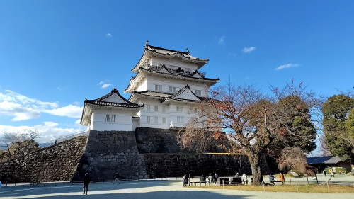 小田原城.jpg