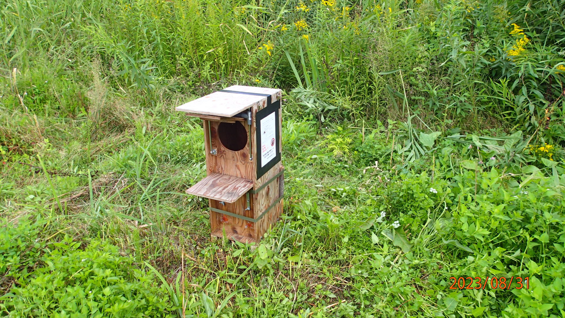 アライグマの捕獲用巣箱型ワナは、北海道大学池田研究室で開発された、誘引餌不要、見回り不要の今までの常識を覆した新型ワナです