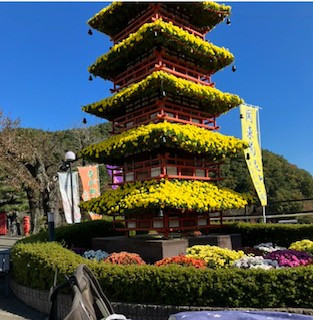 ながめ余興場　関東菊花大会
