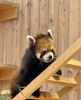 桐生が岡動物園