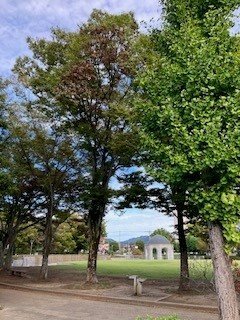 新川公園