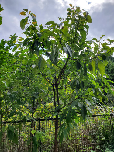 五感を感じることの素晴らしさ💗