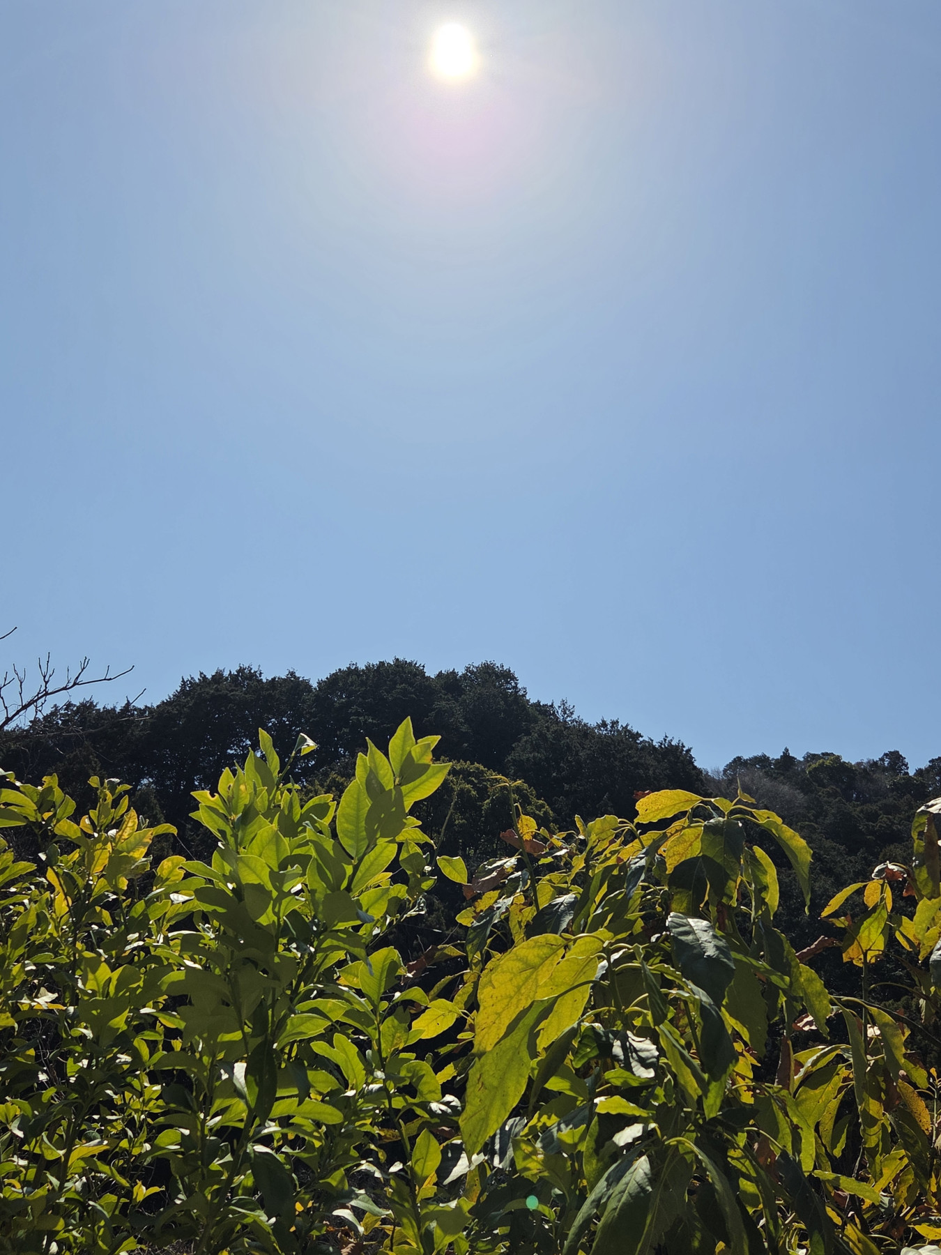 心理カウンセリングルーム優愛