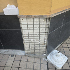 20250415_085952.jpg