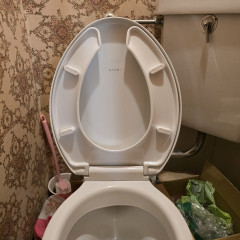 20250417_140739.jpg