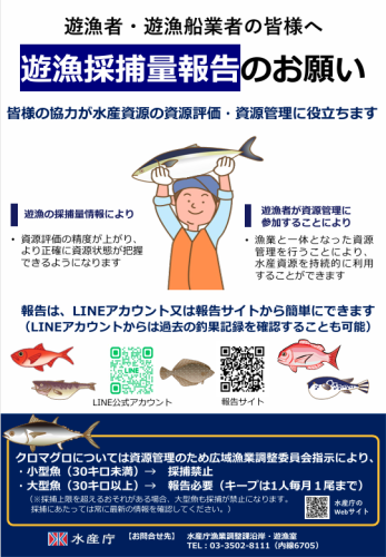 遊漁採捕量報告のお願い.png