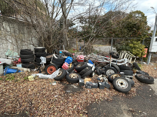 IMG_3466.JPG