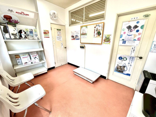 S__310394887.jpg