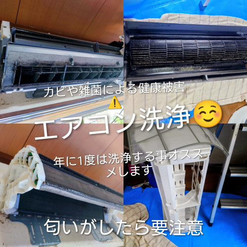 IMG_20260618_092500~4.jpg