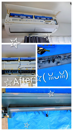 20260925_140149-COLLAGE~3.jpg