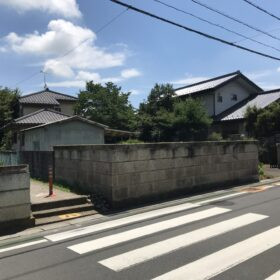 伐採