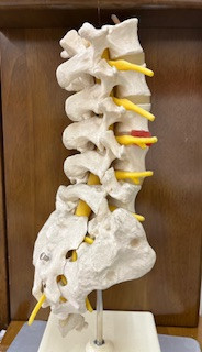 その痛み、あきらめないで！