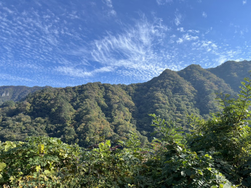 S__66592775.jpg