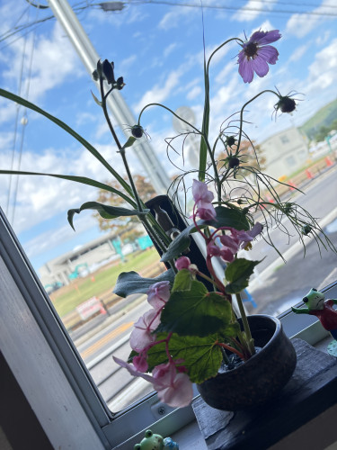 IMG_2206.jpeg
