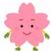 画像さくらちゃん.jpg