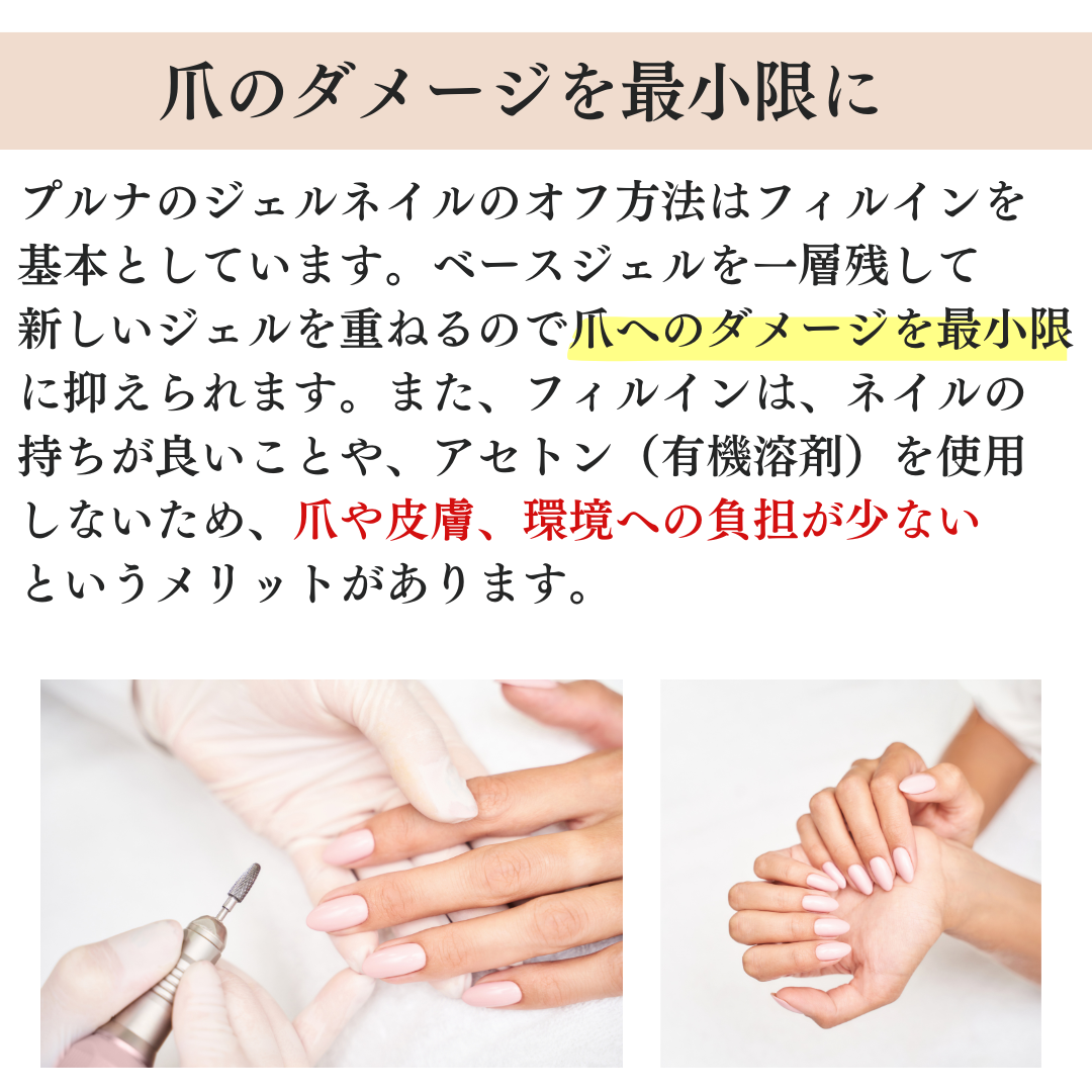 プルナHPメイン (3).png