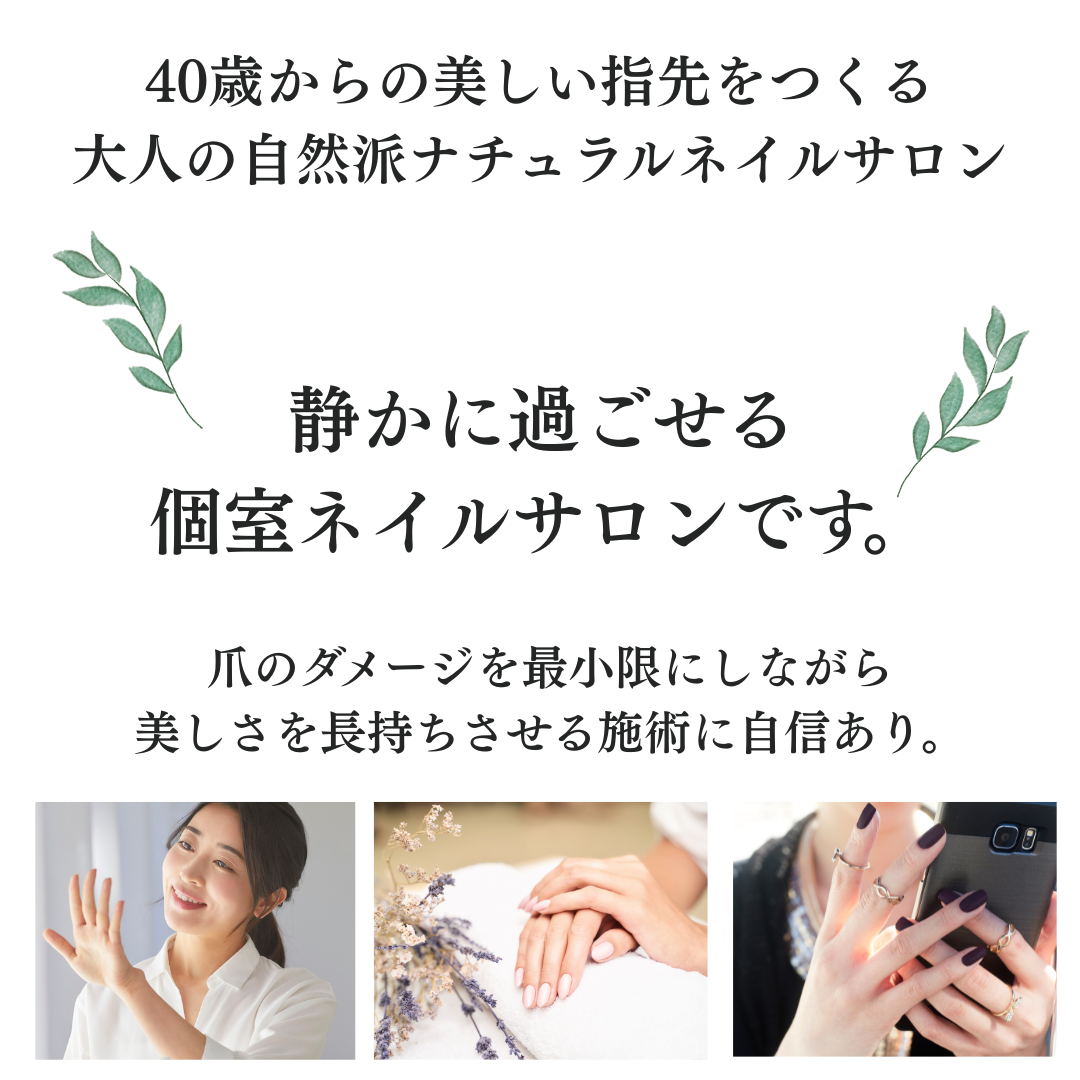 プルナHPメイン (1).png