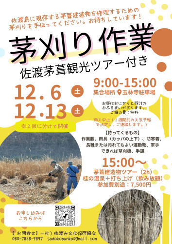 黄色 ピンク カラフル ポップ 子供 イベント  ワークショップ チラシ .jpg