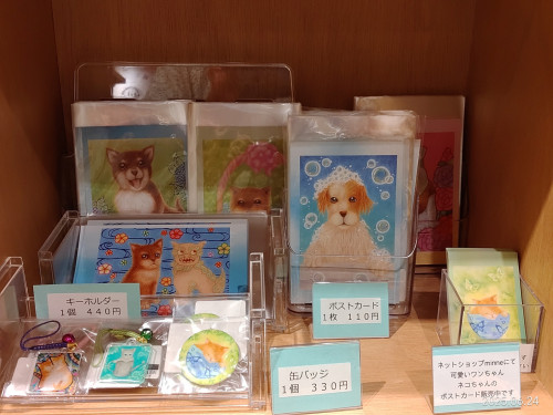 リニューアルしました。