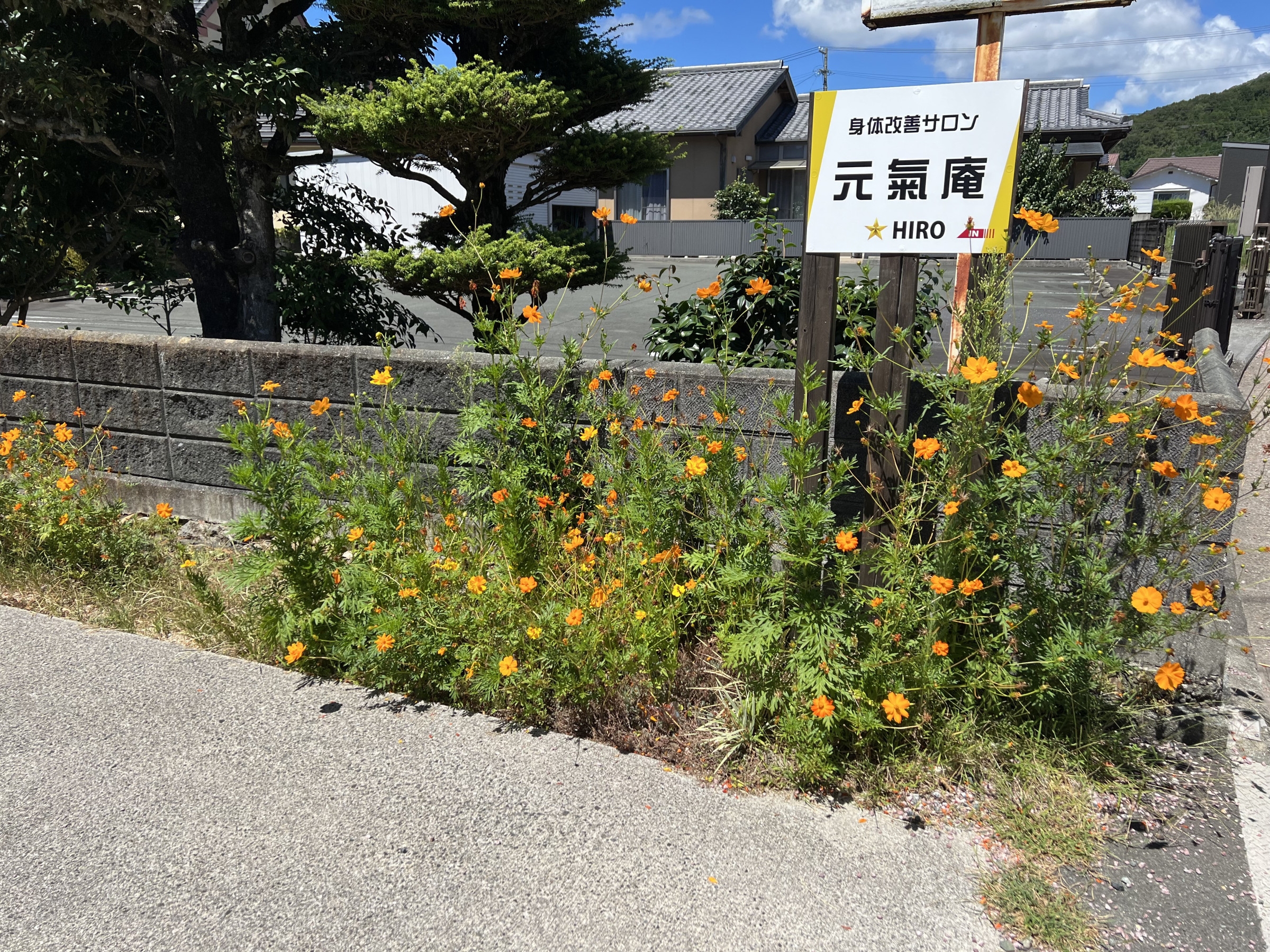 店舗侵入路