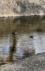 IMG_1660.jpeg