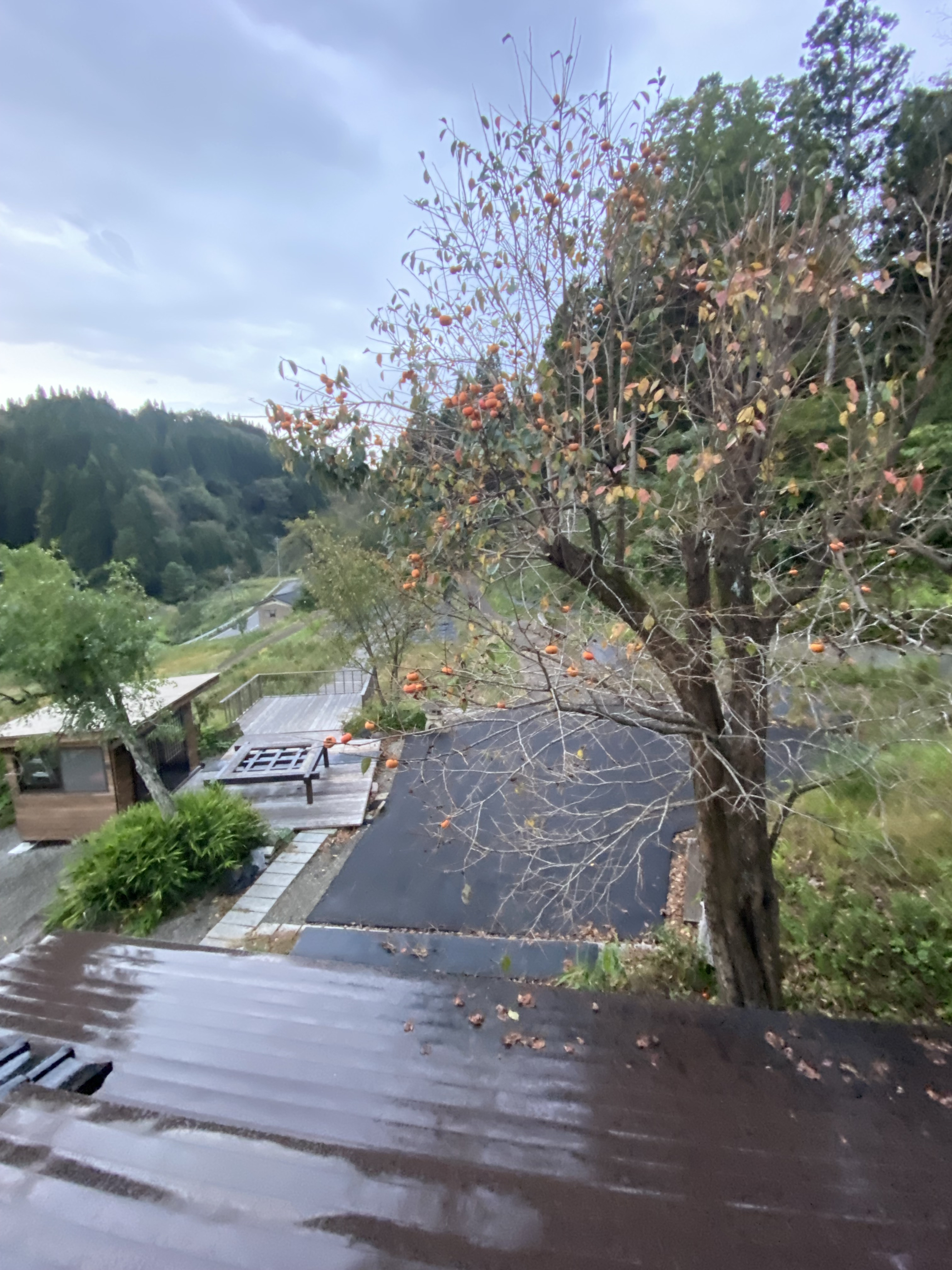 秋の風景に